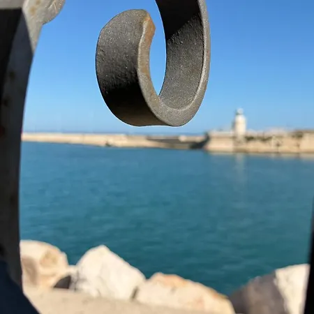 Annare Trani