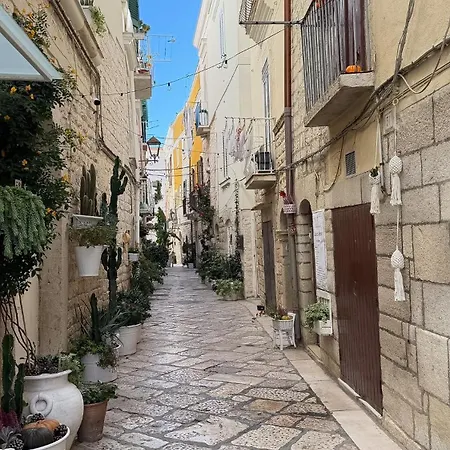 Apartment Annare Trani